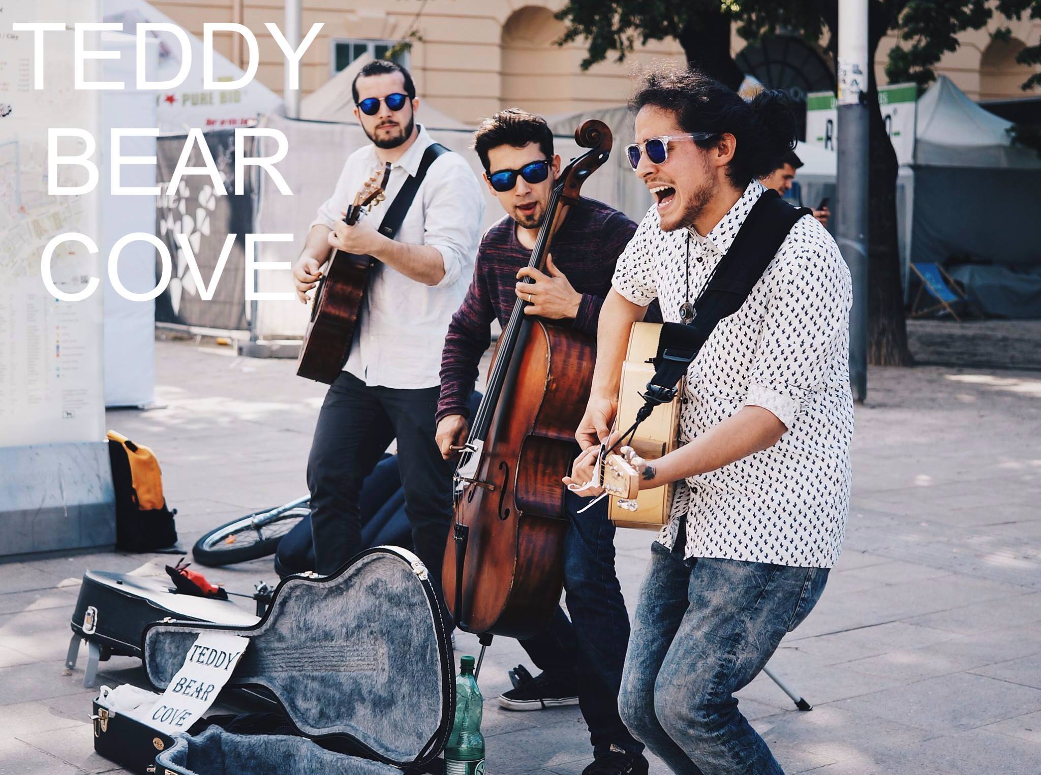 Teddy Bear Cove Teddy Bear Cove